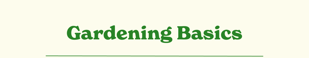 Gardening Basics