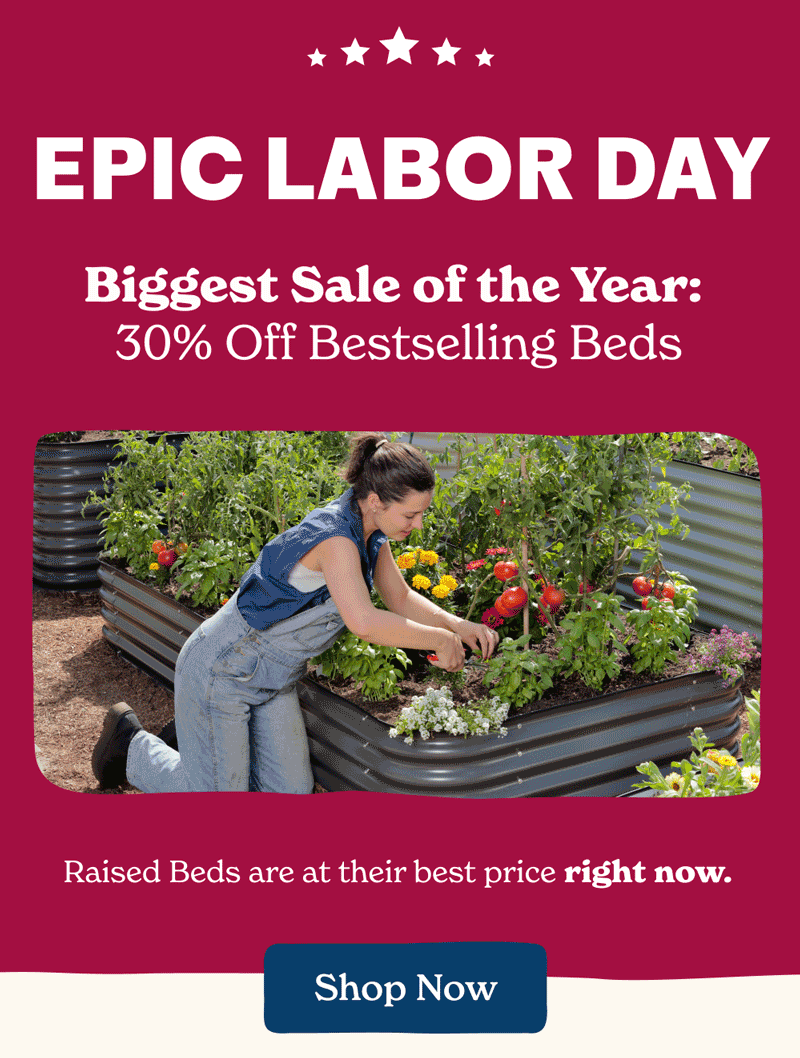 Epic Labor Day Sale Biggest Sale of the Year: 30% Off Bestselling Beds