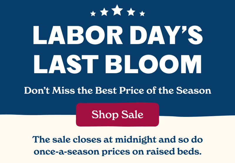 Labor Day’s Last Bloom Don’t Miss the Best Price of the Season
