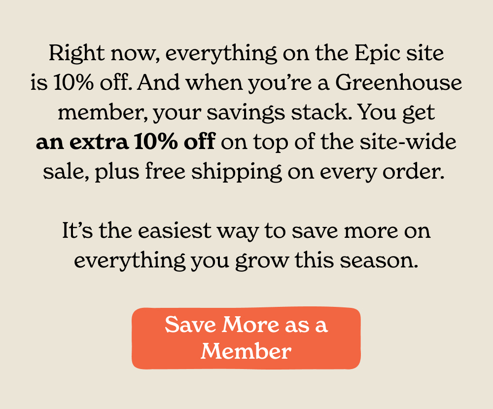 Save More as a Member