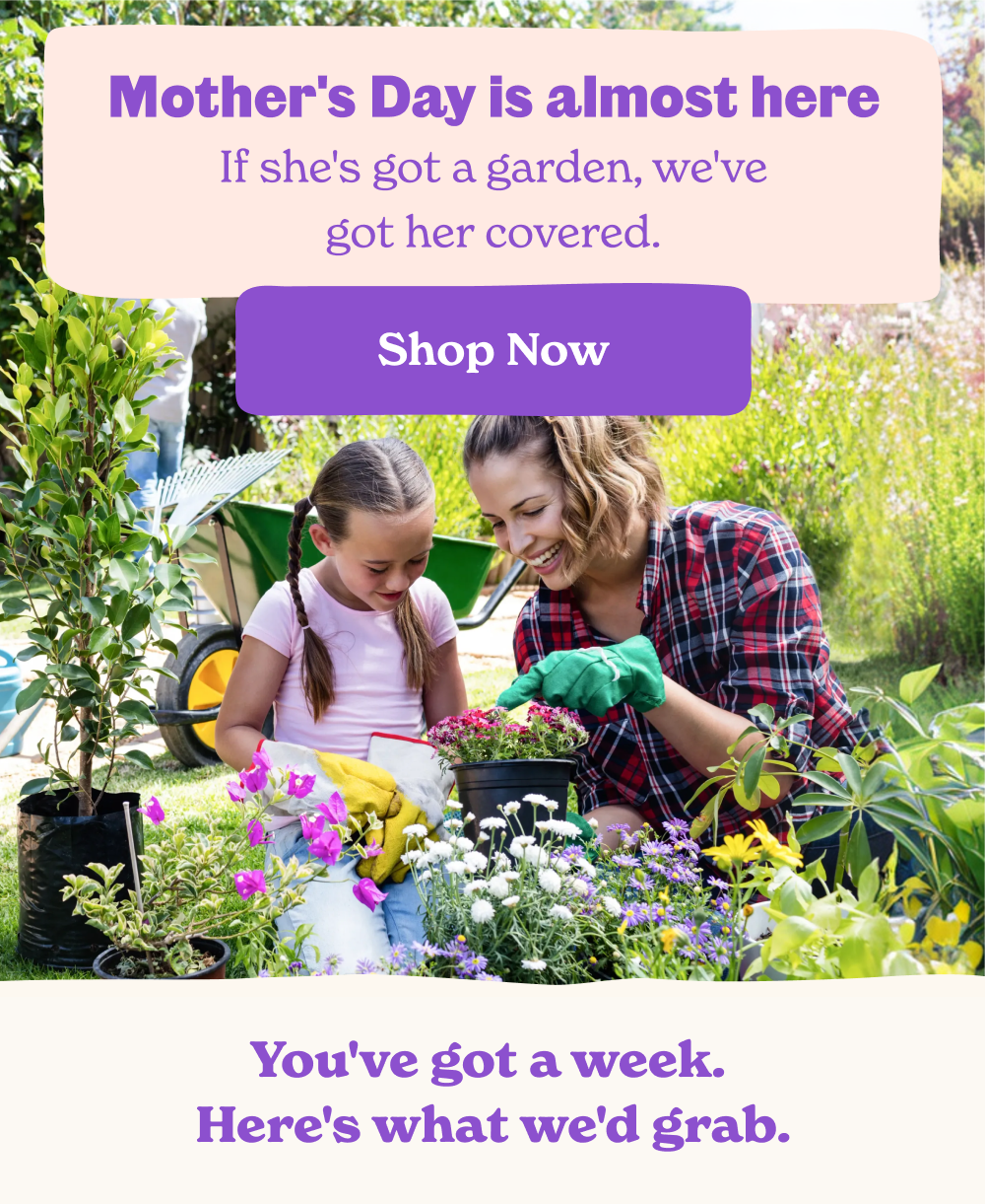 Mothers Day is almost here If she's got a garden, we've got her covered. - Shop now