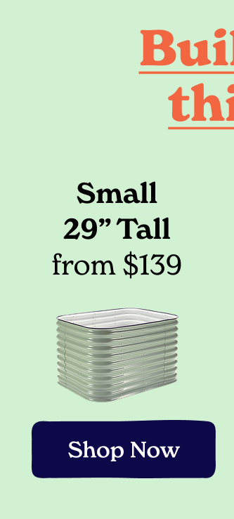 Small 29" Tall - Shop Now