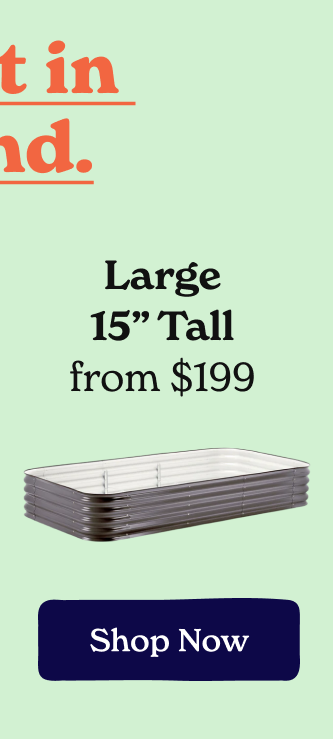 Large 25" Tall