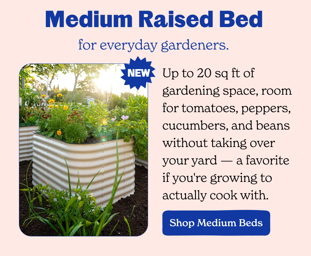 Medium Raised Bed for everyday gardeners.