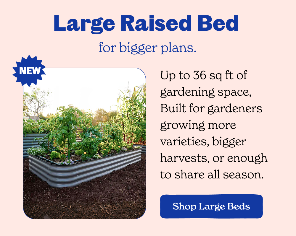 Large Raised Bed  for bigger plans.