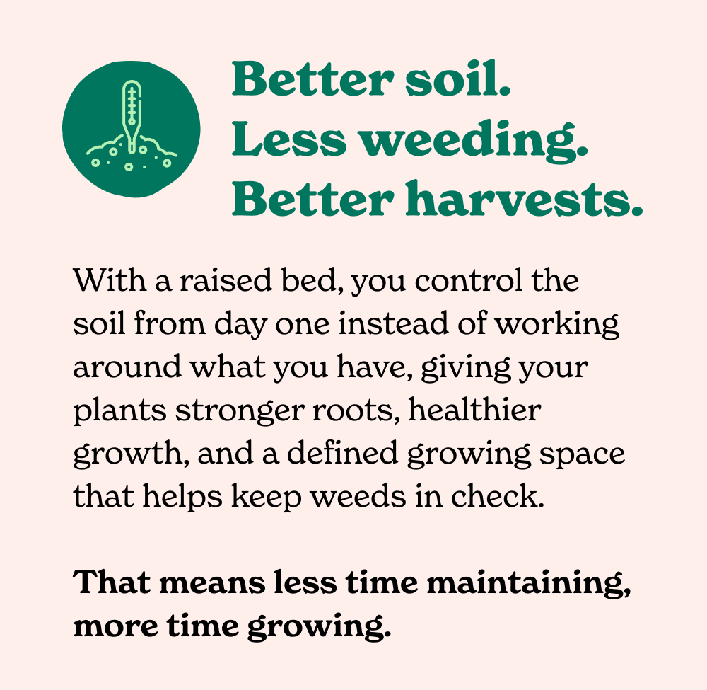 With a raised bed, you control the soil from day one instead of working around what you have