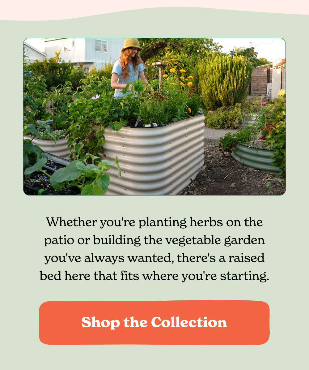 Whether you're planting herbs on the patio or building the vegetable garden you've always wanted, there's a raised bed here that fits where you're starting.