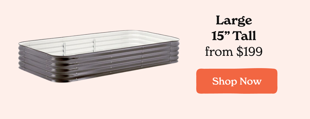 With a raised bed, you control the soil from day one instead of working around what you have