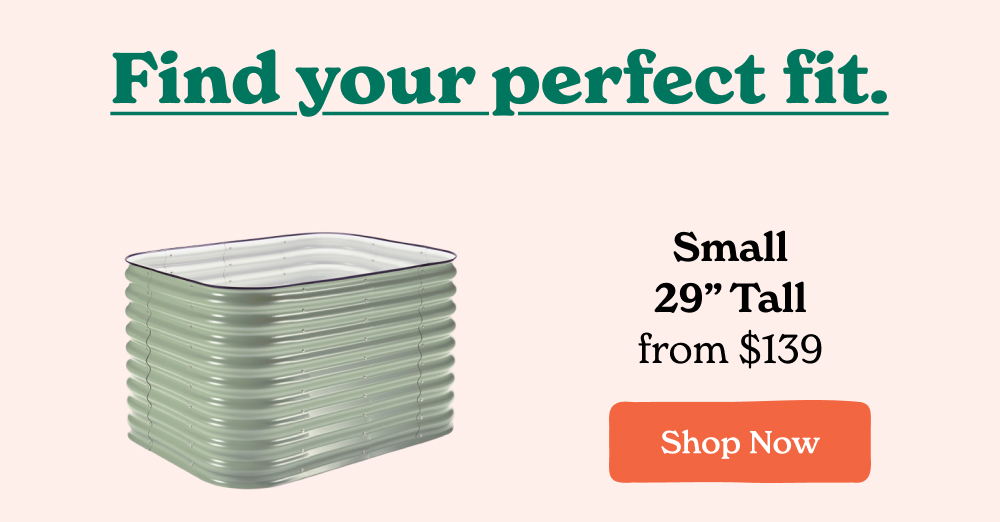 With a raised bed, you control the soil from day one instead of working around what you have