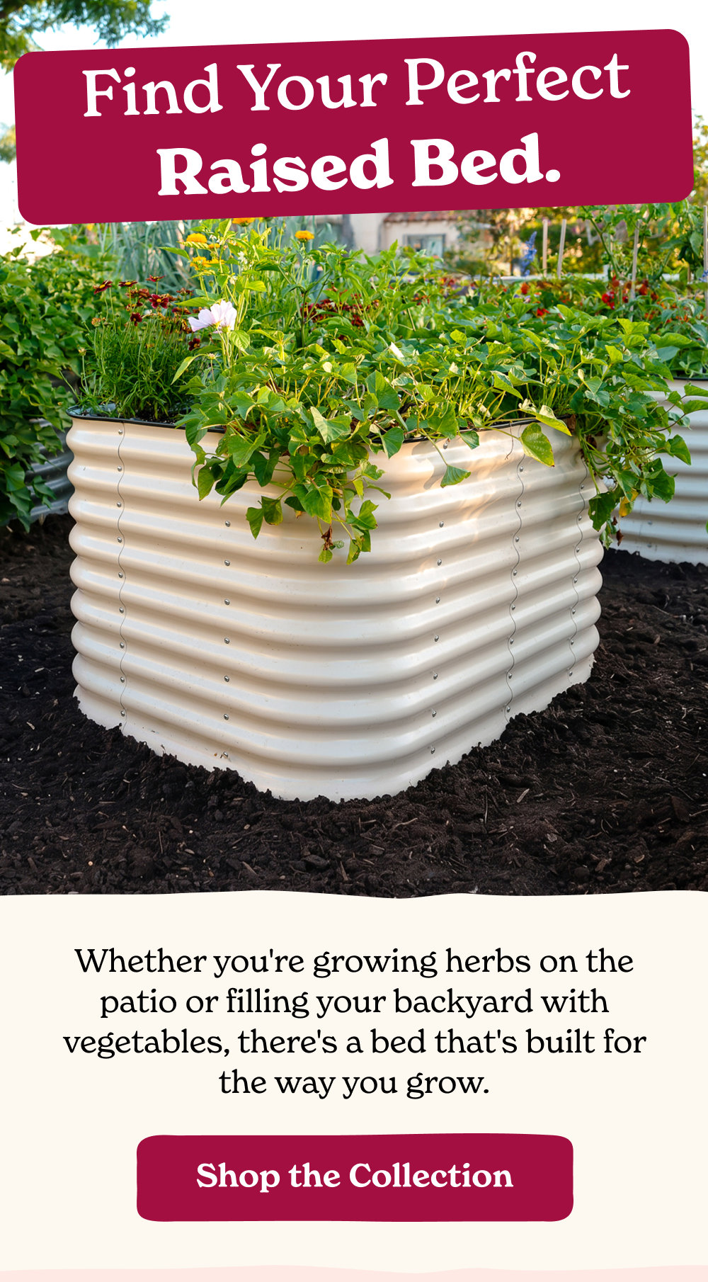 Whether you're growing herbs on the patio or filling your backyard with vegetables, there's a bed that's built for the way you grow.