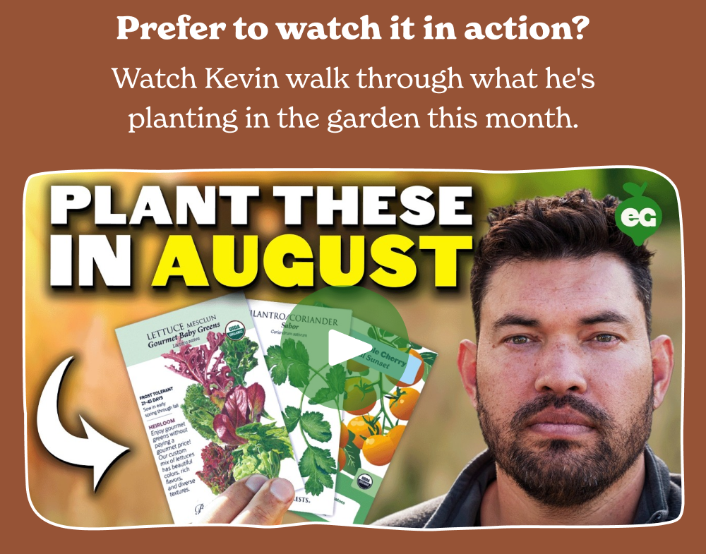Watch Now: Plant these in August