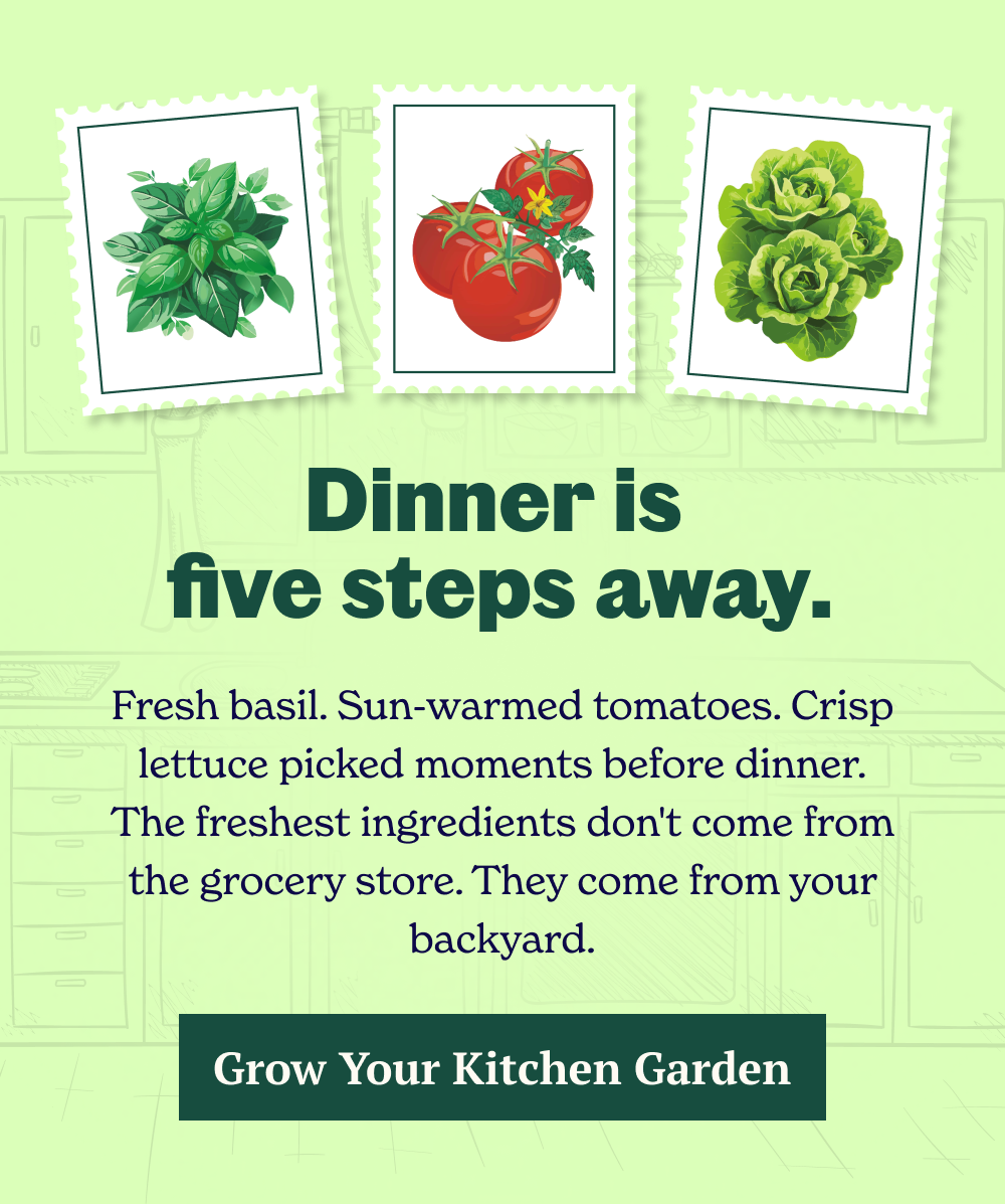 The freshest ingredients don't come from the grocery store. They come from your backyard.