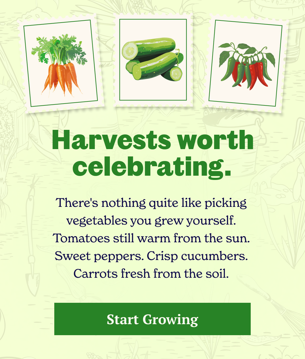 Tomatoes still warm from the sun. Crisp cucumbers. Sweet peppers. Carrots pulled straight from the soil.