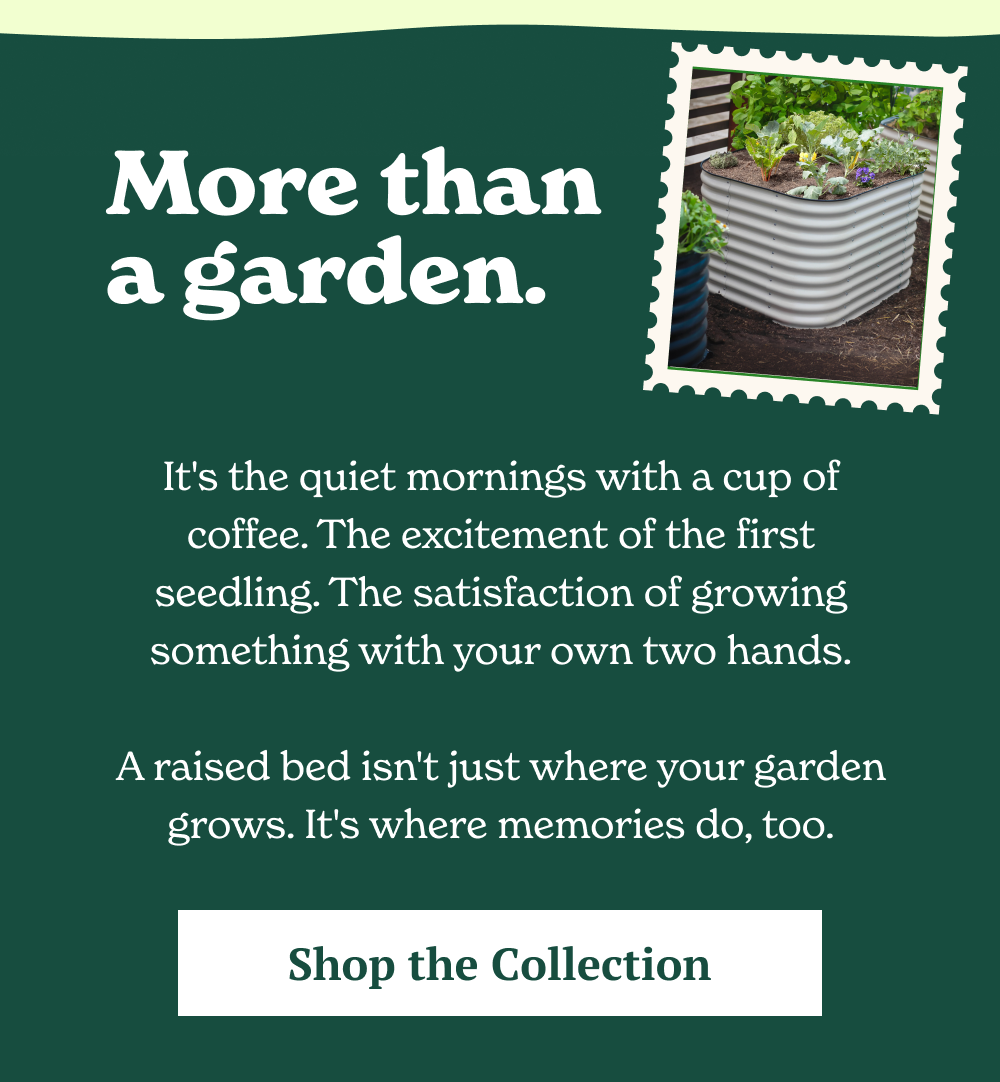 They're the quiet mornings with a cup of coffee. The excitement of seeing the first seedling emerge. The satisfaction of growing something with your own two hands.